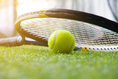 Tenis: ATP 250 - Libéma Open - Program