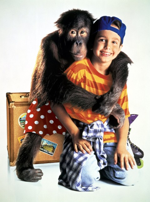 Apartament dla orangutana (1996) - Film