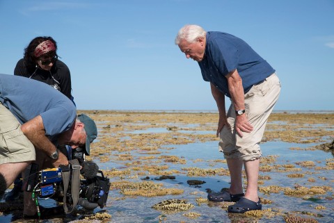 Jak powstawał film "Wielka Rafa Koralowa z Davidem Attenborough" () - Film