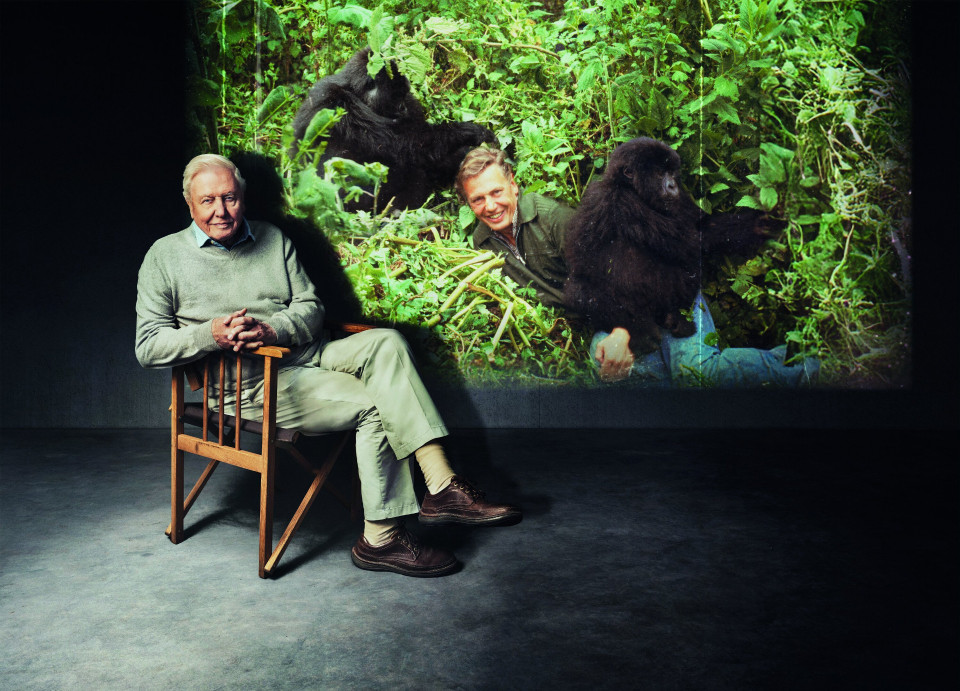 David Attenborough: początek wielkiej przygody - Program