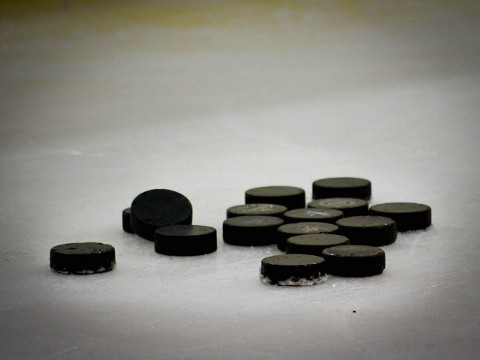 Hokejowa Liga Mistrzów - Program