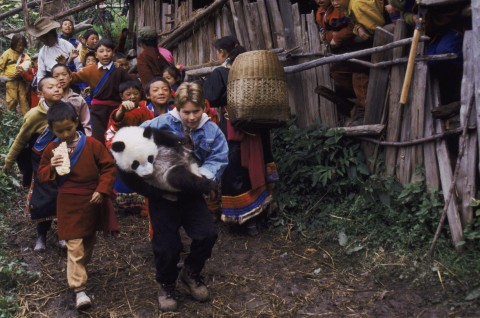 Przygoda z pandą (1995) - Film