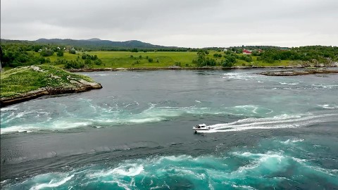 Świetliste robaki i zielone chmury