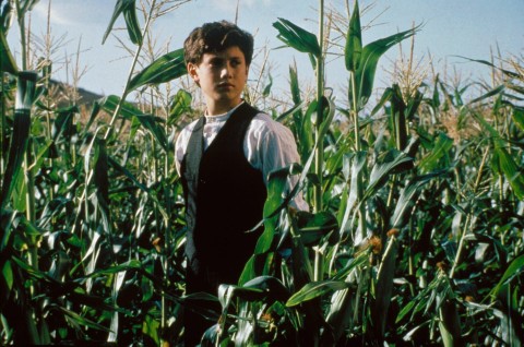 Dzieci kukurydzy III: Miejskie żniwa (1995) - Film