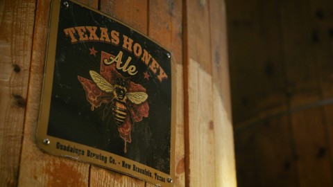 Pszczoły i piwo