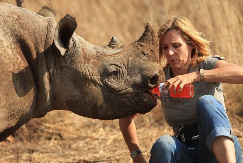Sierociniec dla nosorożców - Serial