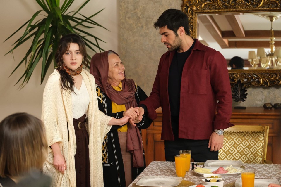 Wichrowe wzgórze - Odcinek 29 - streszczenie odcinka | Telemagazyn