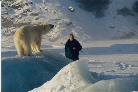 Agee - niedźwiedź polarny