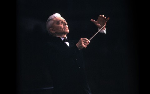 Herbert von Karajan i Filharmonicy Wiedeńscy VIII Symfonia Brucknera - Program