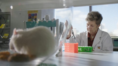 Zdrowa dieta - zdrowy mózg (2018) - Film