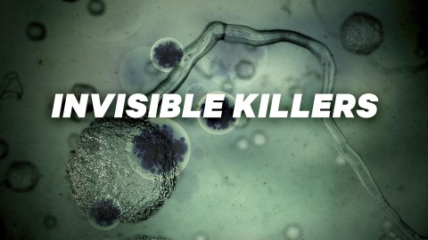 Wirus - niewidzialny zabójca - Serial