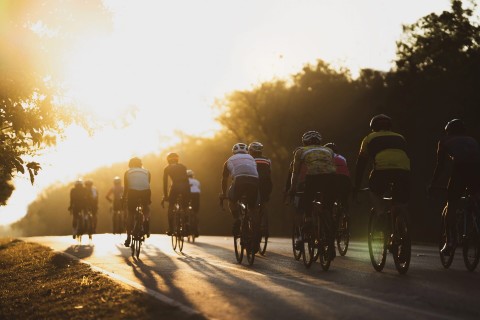 A Year with the Team - Program