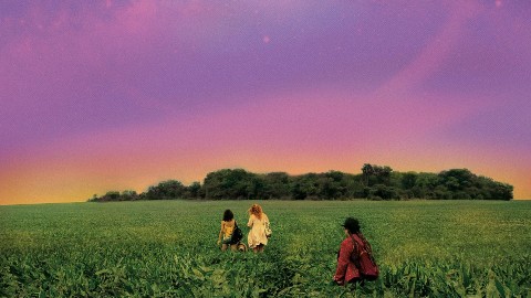 Madalena (2021) - Film