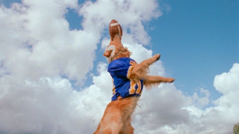 Bud - pies na medal (1998) - Film