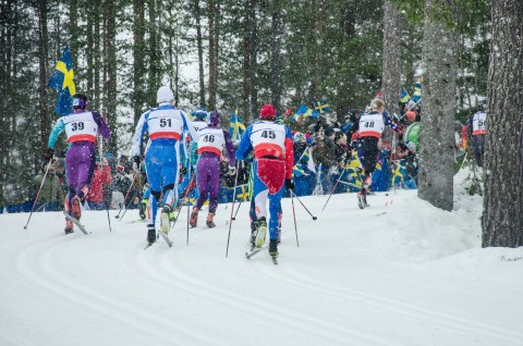 Biegi narciarskie: Puchar Świata mężczyzn w Gällivare - Program