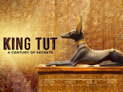 Tutanchamon: stulecie odkryć (2022) - Film
