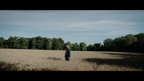 Ostatni obraz van Gogha (2022) - Film