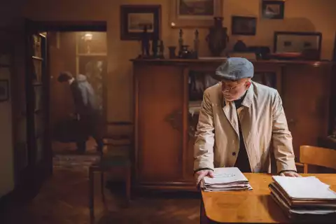 Wróble i kawki