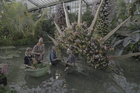 Cztery pory roku w ogrodach Kew - Program