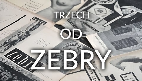 Trzech od "Zebry" - Program