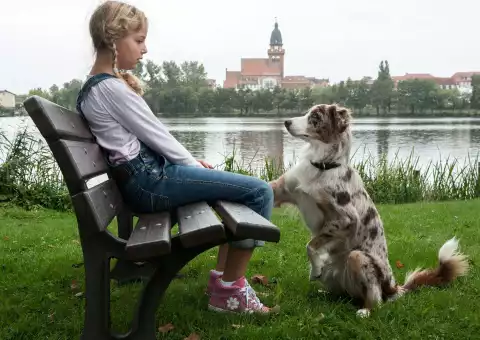 Käthe i ja - Serial