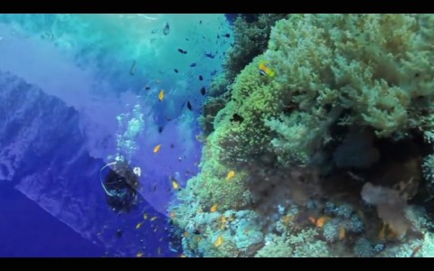 Oceany - nowe Eldorado (2017) - Film