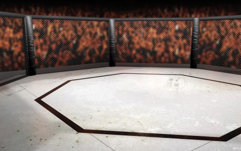 MMA: UFC Fight Night - Program