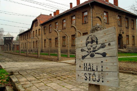 Auschwitz: Podróż do piekła (2013) - Film