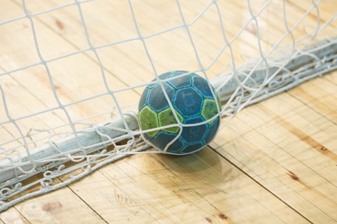 Piłka ręczna: Liga Mistrzów EHF - Program