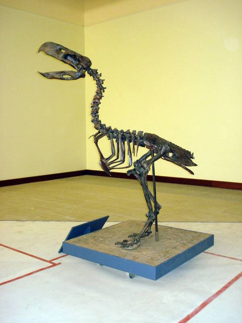 Tyranozaur z głębin