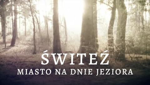 Świteź - Program