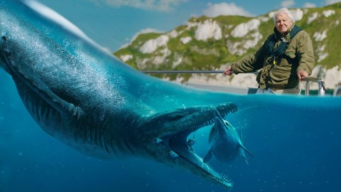 Attenborough i jurajski potwór morski - Program