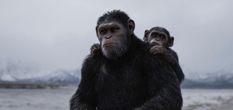 Wojna o planetę małp (2017) - Film