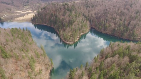 Dzikie życie w oswojonym świecie