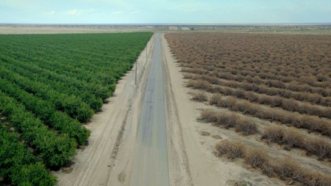 Woda i władza: kalifornijski przekręt () - Film
