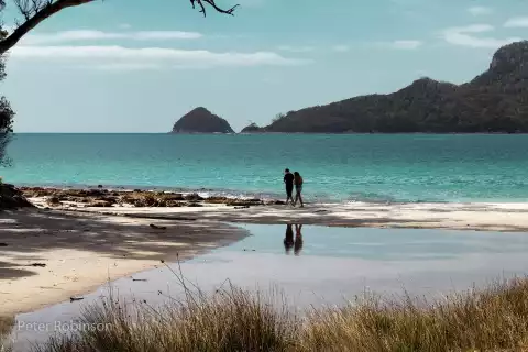 Love Island. Wyspa miłości - Program