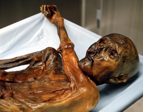 Ötzi - kto zabił Człowieka Lodu (2011) - Film