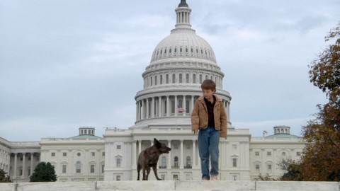 Pies prezydenta (2010) - Film