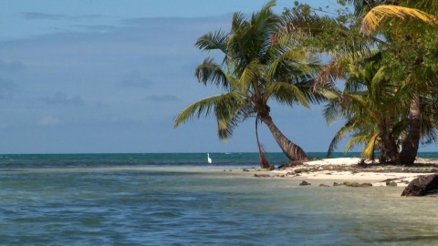 Wyspa Long Caye