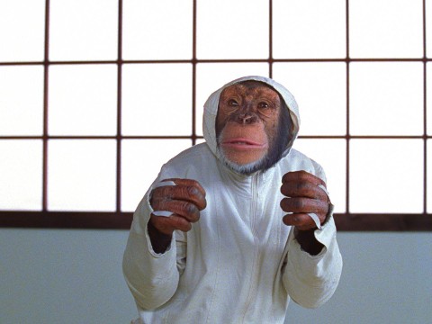 Małpi szpieg (2006) - Film