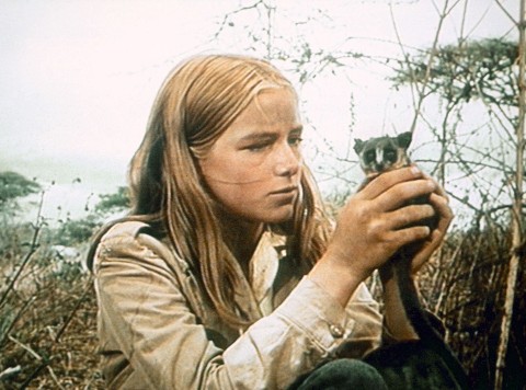 The Bushbaby (1969) - Film