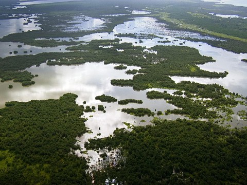 Zwierzęta parków narodowych USA (2022) - Film