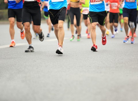 Maraton: Maraton w Amsterdamie - Program