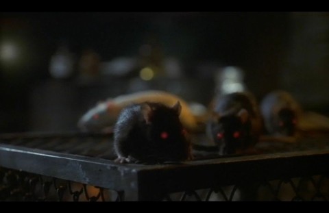 Szczury (2003) - Film