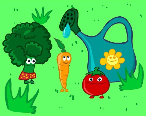 Opowieści warzywne - Program