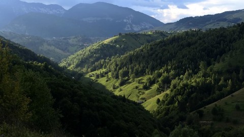 Polsko-rumuńska Bukowina - Program