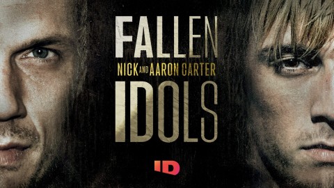 Upadli idole: Nick i Aaron Carter - Program