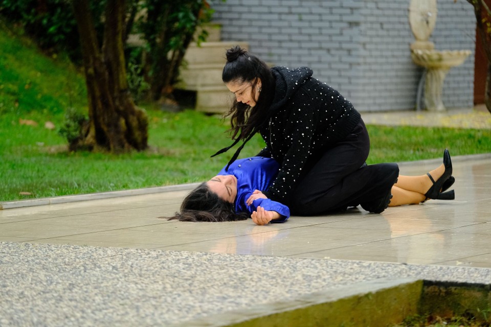 Wichrowe wzgórze - Odcinek 266 - streszczenie odcinka | Telemagazyn