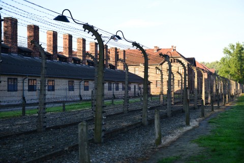 Piętno Auschwitz (2015) - Film