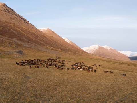 Islandia